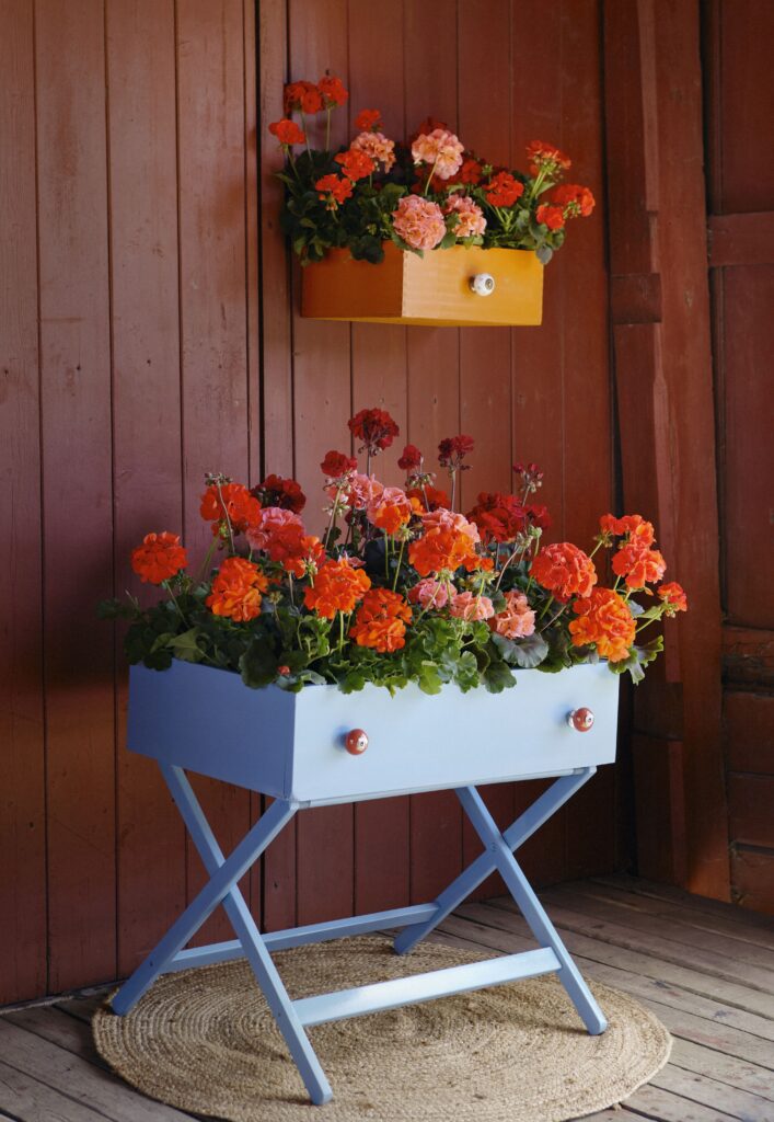 upcycled drawer planters geraniums