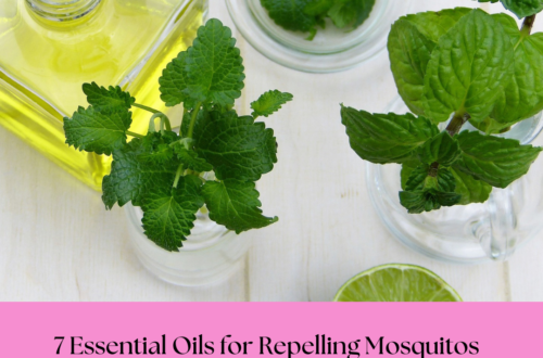 twigs of herbs with jar of oil make essential oil