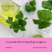 twigs of herbs with jar of oil make essential oil