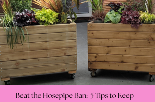 5+Tips+to+Keep+Garden+Planters+Looking+Great+Beat+Hose+Pipe+Ban