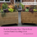 5+Tips+to+Keep+Garden+Planters+Looking+Great+Beat+Hose+Pipe+Ban