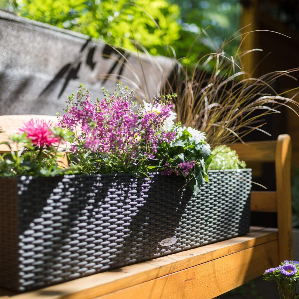 Beat the Hosepipe Ban: 5 Tips to Great Garden Planters. Sustainable Gardening