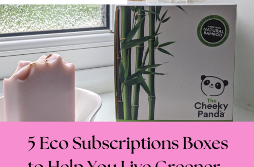 5 Eco Subscriptions Boxes to Help You Live Greener