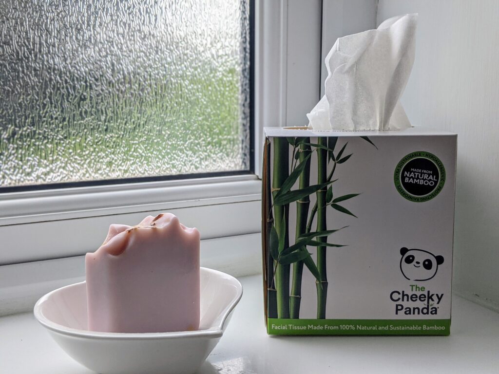 Cheeky Panda Products Eco Subscription Boxes