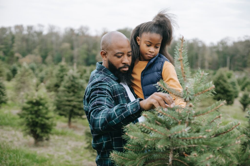 real christmas tips dispose eco responsibly