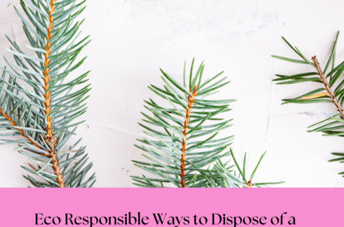 Eco Responsible Ways to Dispose of Your Christmas Tree