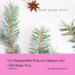 Eco Responsible Ways to Dispose of Your Christmas Tree